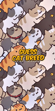 cat breed quiz - Screenshot 1