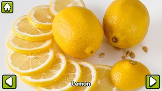 Fruits and Vegetables - Screenshot 3