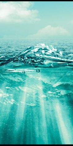 Pikasus Captain - Screenshot 3