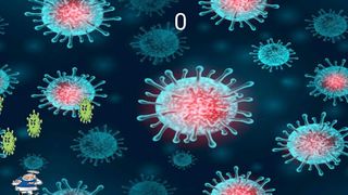 Namovid - Screenshot 3