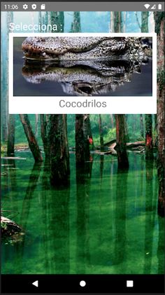 Rompecabezas de Cocodrilos - Screenshot 1