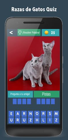 Razas de Gatos Quiz 2021 - Screenshot 3