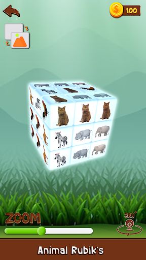 Animal Rubiks Cube Solver Puzz - Screenshot 3