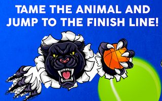 Pet Balls - Screenshot 2