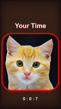 Slide the Puzzle - Screenshot 4