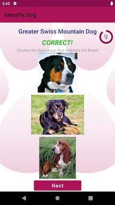 Doggo Match - Screenshot 3