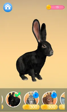 Talking Rabbit - Screenshot 3