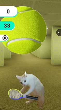 Kitty Tennis - Screenshot 4