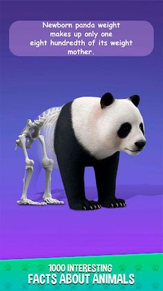 IDLE Animal Anatomy Clicker - Screenshot 3