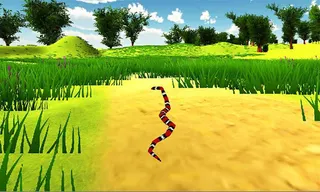 Hungry Anaconda Snake Sim 3D - Screenshot 2