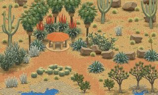 Inner Garden: Desert Garden - Screenshot 2