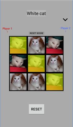 White cat - Screenshot 3