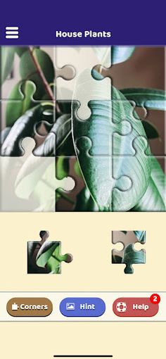 House Plants Puzzle - Screenshot 1