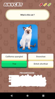Anycat - Screenshot 3