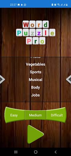 Word Puzzle Pro - Screenshot 2