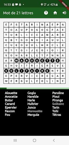 Mot caché - Oiseaux - Screenshot 1