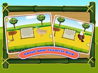 Bird Sounds Fun Learning Games - Screenshot 1
