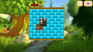 Kittygram - Screenshot 2
