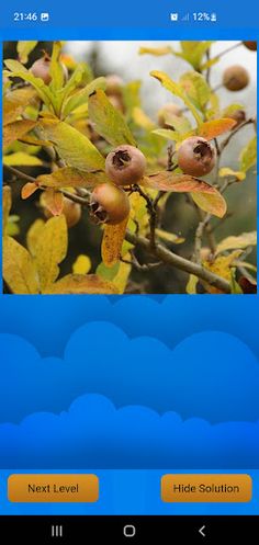 Puzzle Party - Screenshot 3