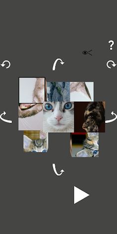 Hexapic Twist - Screenshot 4