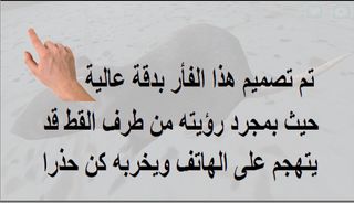 إلعب مع القط 2019 - Screenshot 2