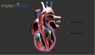 Heart 3D model for learning - Screenshot 1