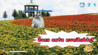 Jumping Cat - touch & tap - Screenshot 3