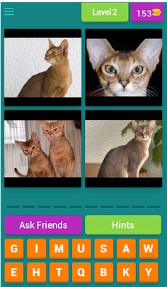 4 Pics 1 Animal - Alphabetical - Screenshot 3