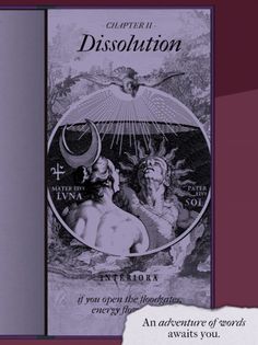 Vitriol - Screenshot 1