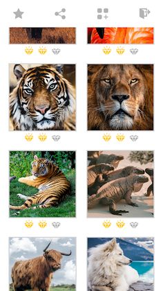 Jigsaw Animal Puzzles: Mosaic - Screenshot 3