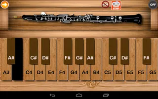Professional Cor Anglais - Screenshot 1