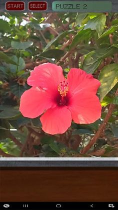 Flower Puzzle - Screenshot 3