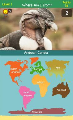 Where Am I From? - Screenshot 2