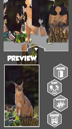 Fun Jigsaw Puzzle - Screenshot 3