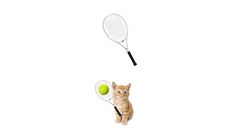 Tennis Cat - Screenshot 4