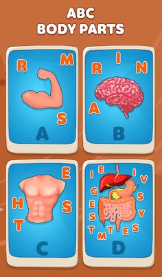 Body Parts Games Kids Learning - Screenshot 3