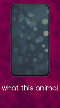 What this animal - Screenshot 3