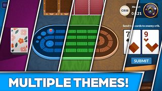Cribbage Offline Card Game - Screenshot 2