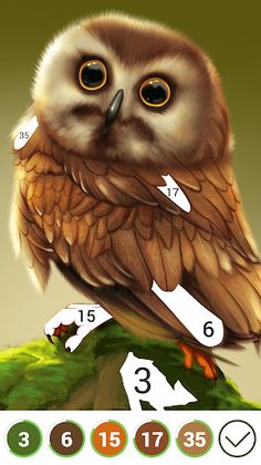 Hola Color--Coloring by Number - Screenshot 3