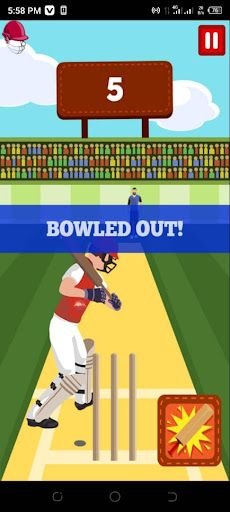 Pro Cricket Champion - Screenshot 4