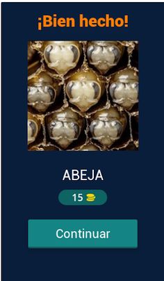 ¡Mundo Animal! Animalia - Screenshot 2