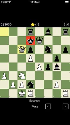 Chess Puzzles Set - Screenshot 4