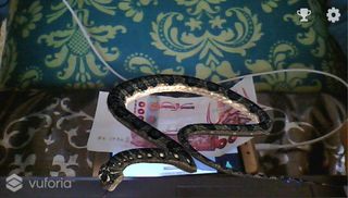 الأفعى(تقنية الواقع المعزز) - Screenshot 3