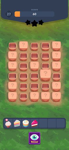 Hidden Pair! - Screenshot 1