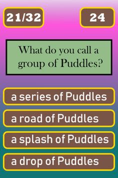 Groupa Trivia - Name that Grou - Screenshot 4