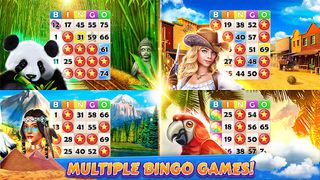 Bingo Cruise: Live Bingo Party - Screenshot 3