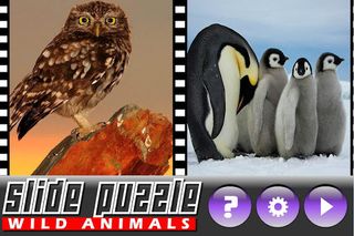 Slide Puzzle Wild Animals - Screenshot 3