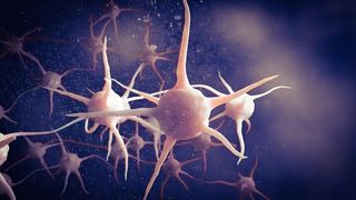 VirusDefense - Screenshot 1