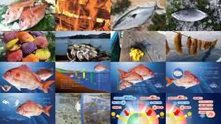 Sustainable sea puzzle - Screenshot 2