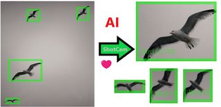 ShotCam - Screenshot 2